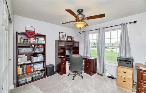 Tiny photo for 60 Citori Court, Troy, MO 63379 (MLS # 26053030)