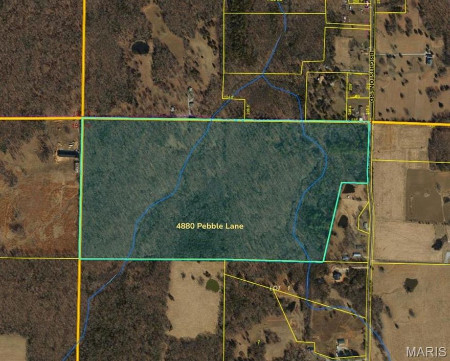 Welcome to 4880 Pebble Lane in Farmington, MO — a rare opportunity to own +/- 74 acres of versatile land ready for your vision. Whether you're looking for a private hunting retreat, recreational getaway, or future homesite, this property offers endless possibilities.

The acreage is already set up for outdoor enjoyment with established trails throughout, making it ideal for ATV riding, hiking, and exploring. Multiple deer stands are in place, creating a turnkey setup for hunting enthusiasts. The mix of wooded areas and open ground provides excellent habitat for wildlife.

Tucked away yet easily accessible, this expansive tract offers privacy, functionality, and recreational appeal all in one package. If you’ve been searching for land with infrastructure already in place and ready for use, this one deserves a look.