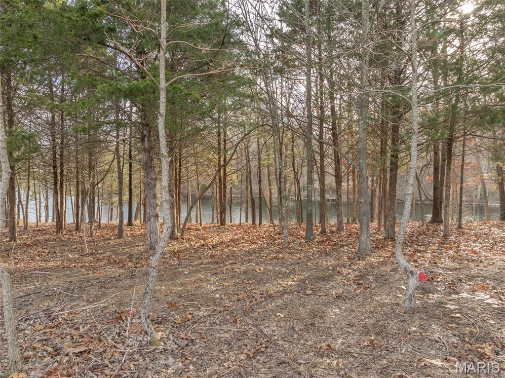 2336 Alpine Overlook Drive