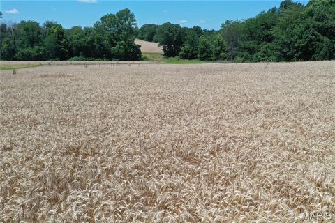 Tiny photo for 0 Pike 107, Frankford, MO 63441 (MLS # 25055948)