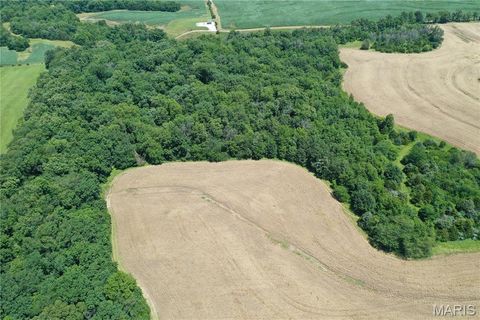 Tiny photo for 0 Pike 107, Frankford, MO 63441 (MLS # 25055948)