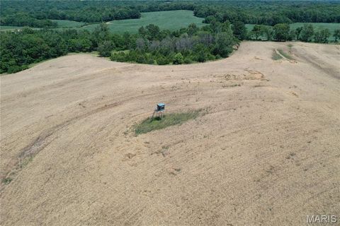 Tiny photo for 0 Pike 107, Frankford, MO 63441 (MLS # 25055948)