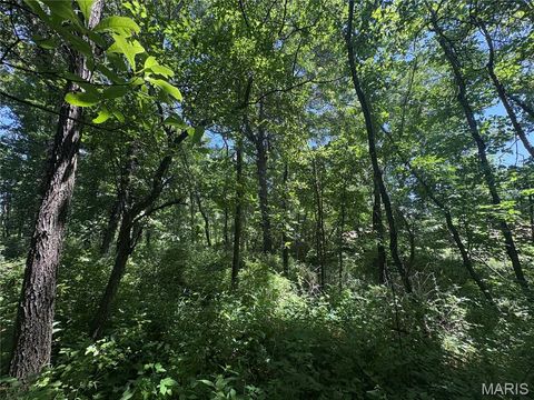 Tiny photo for 0 Pike 107, Frankford, MO 63441 (MLS # 25055948)