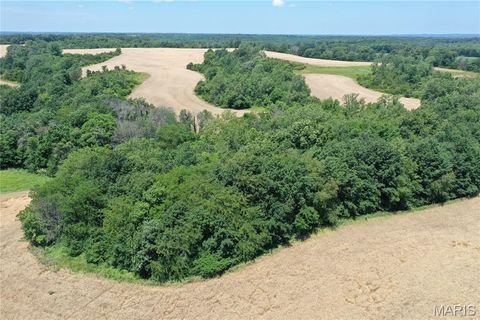 Tiny photo for 0 Pike 107, Frankford, MO 63441 (MLS # 25055948)