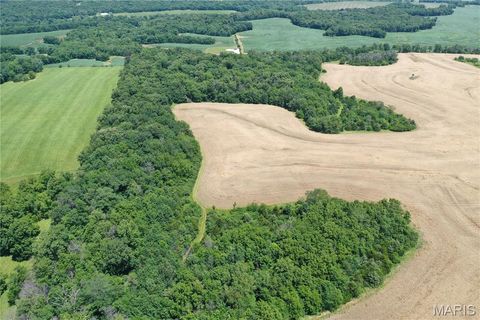 Tiny photo for 0 Pike 107, Frankford, MO 63441 (MLS # 25055948)