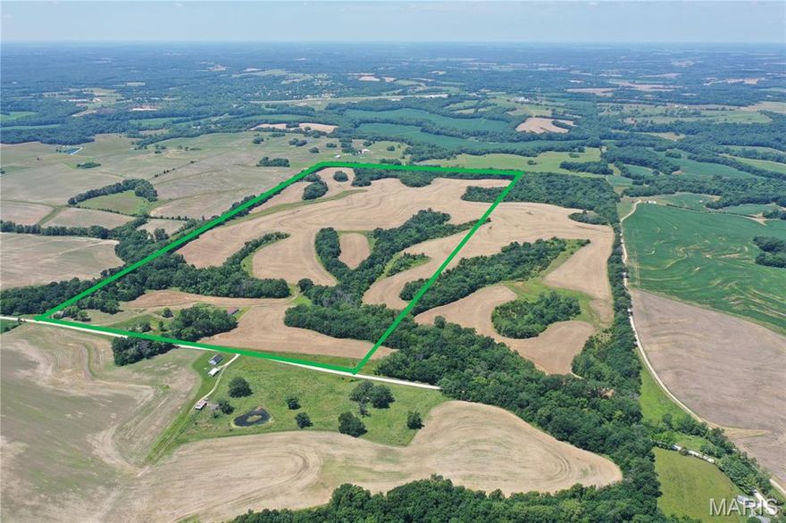 Located in a highly sought-after area of Pike County, this 155+/-acre combo farm offers a great blend of tillable income and recreational potential. With approximately 70 acres of productive tillable ground paying $150 per tillable acre, the balance is timber and cover ideal for hunting. The property features a couple of small ponds, a well-maintained trail system, and excellent access throughout. Known for producing big deer, this tract is a strong investment with outstanding hunting opportunities. Your chance to own quality ground in big buck country!