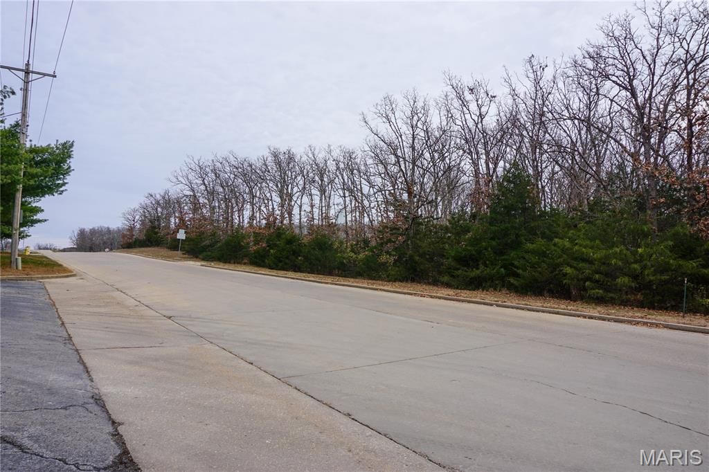Photo of 6 Old St. James Road, Rolla, MO 65401 (MLS # 25079940)