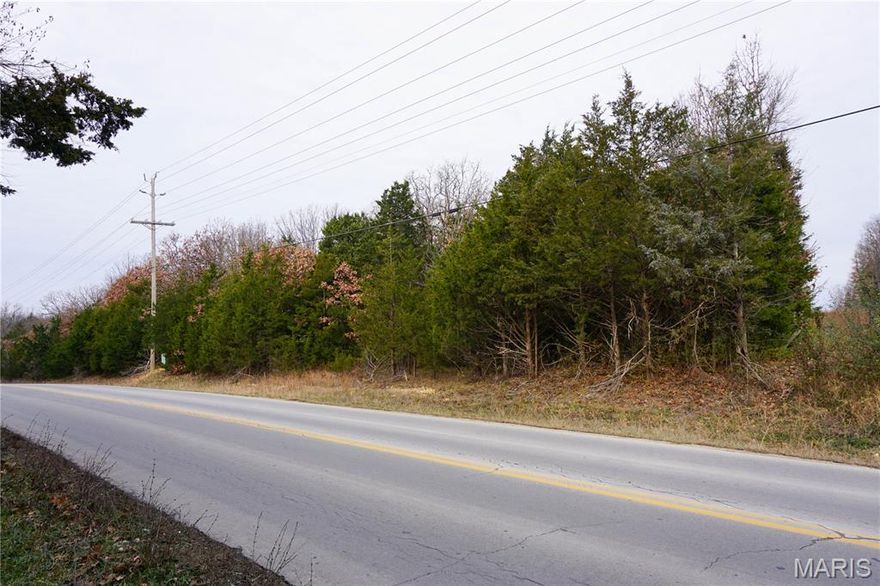 6.54 m/l acres on Old St. James Rd., directly connected to the city limits and positioned along a growing corridor. This property offers strong visibility, easy access, and the flexibility that comes with being just outside the city while still close to services. Its proximity to McCutchen and quick access to I-44 make it a convenient option for future commercial, storage, or development needs. A practical choice for buyers looking for usable acreage with room to plan and grow.