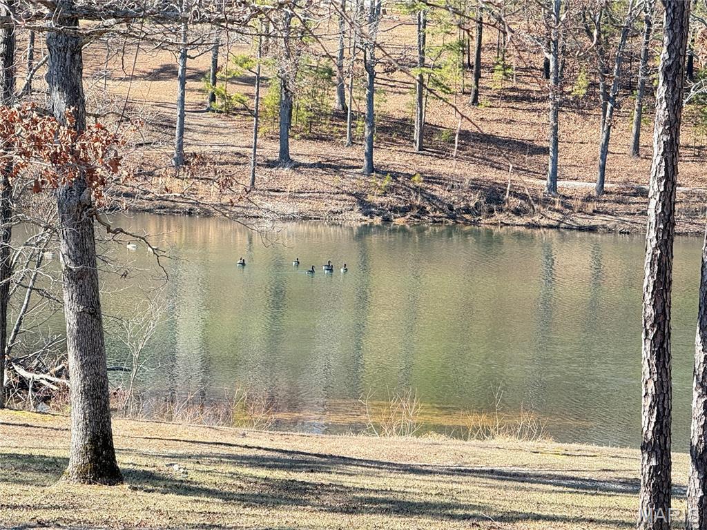 Boss Lake - Residential