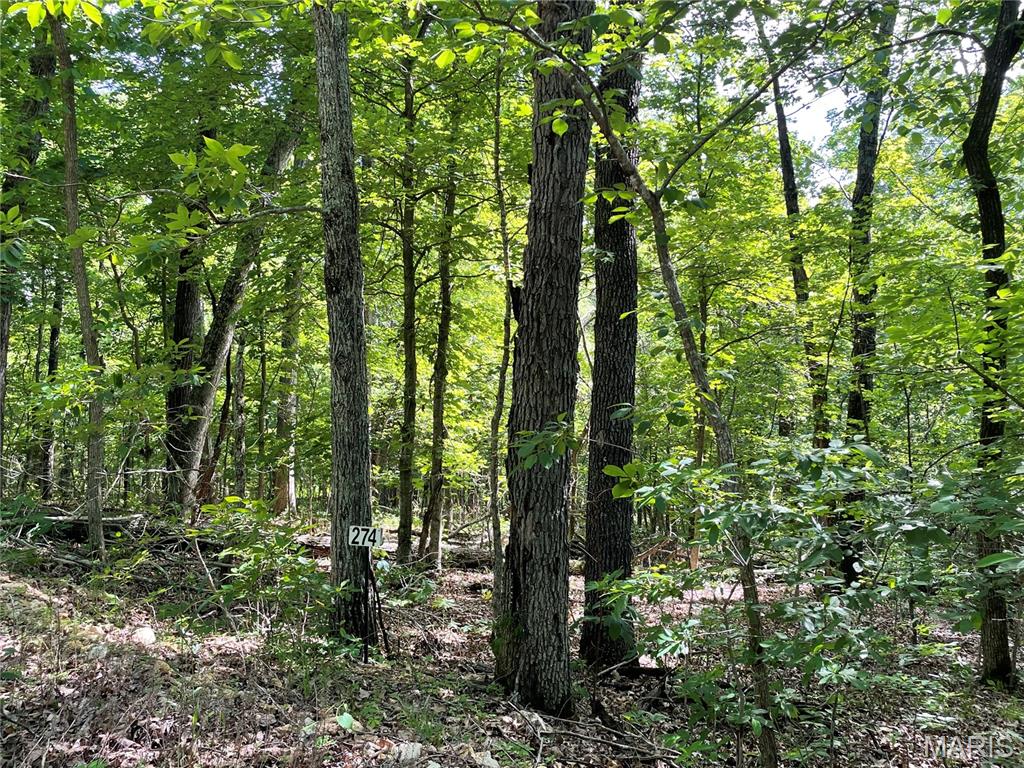 274 Oak Ridge Road