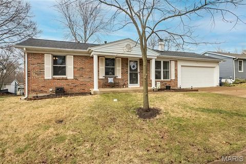 1237 Trails Drive Fenton MO 63026