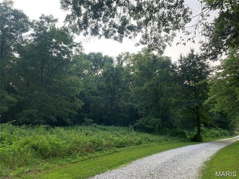 Photo of 0 Staghorn Lane, Wright City, MO 63390 (MLS # 25064759)