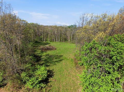 Tiny photo for 431 Piper Court, Troy, MO 63379 (MLS # 26022947)