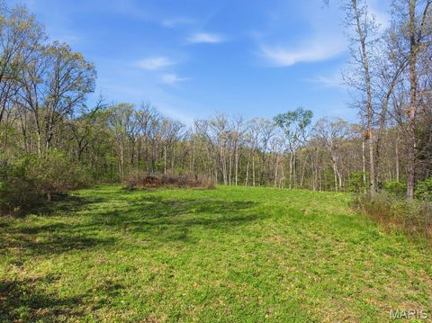 Tiny photo for 431 Piper Court, Troy, MO 63379 (MLS # 26022947)