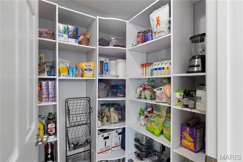 Tiny photo for 221 Osage Avenue, Troy, MO 63379 (MLS # 26009756)