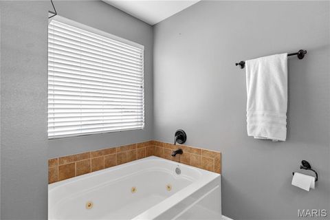 Tiny photo for 221 Osage Avenue, Troy, MO 63379 (MLS # 26009756)