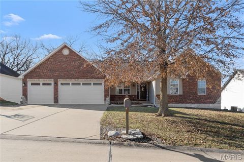 221 Osage Avenue Troy MO 63379