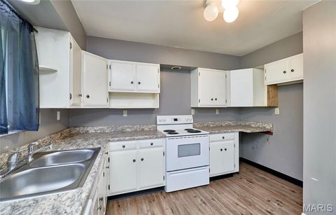Tiny photo for 503 McKinley Avenue, Warrenton, MO 63383 (MLS # 26030241)