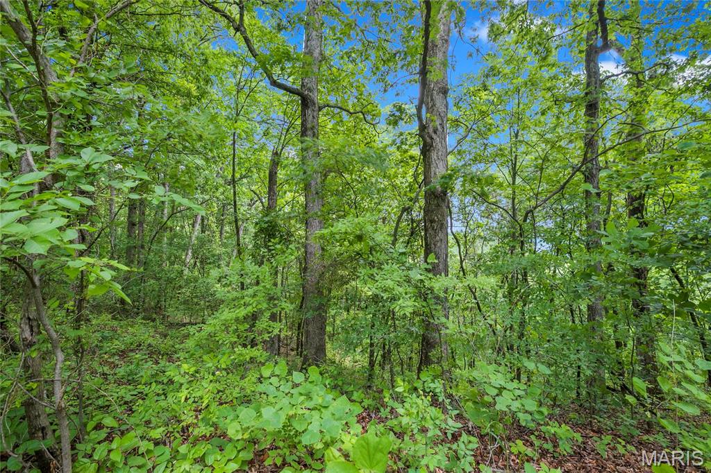 8.5 acres Clermont Drive