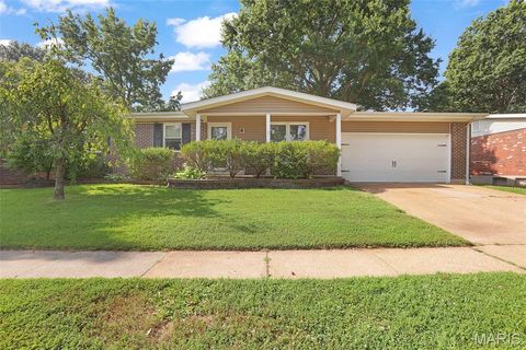 Photo of 1210 Dorne Drive, Ballwin, MO 63021 (MLS # 26046599)