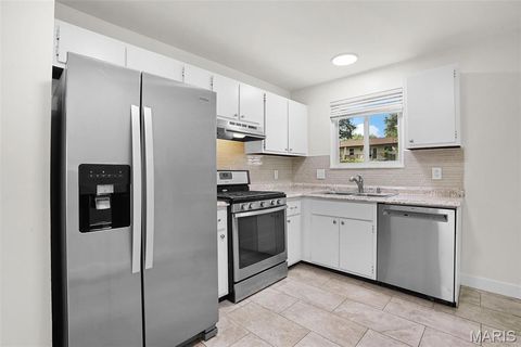 Tiny photo for 1210 Dorne Drive, Ballwin, MO 63021 (MLS # 26046599)