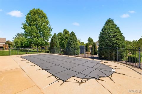 Tiny photo for 301 Red Wing Court, Troy, MO 63379 (MLS # 26026677)
