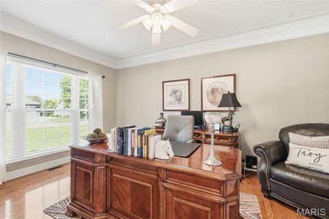 Tiny photo for 301 Red Wing Court, Troy, MO 63379 (MLS # 26026677)