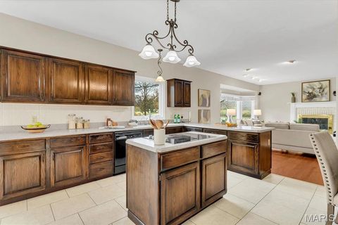 Tiny photo for 1813 Wade Court, Wildwood, MO 63011 (MLS # 25077984)