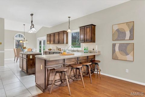 Tiny photo for 1813 Wade Court, Wildwood, MO 63011 (MLS # 25077984)