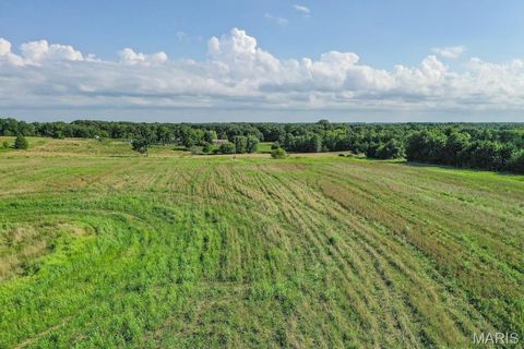 Tiny photo for 000 County Road 343, Paris, MO 65275 (MLS # 26006383)