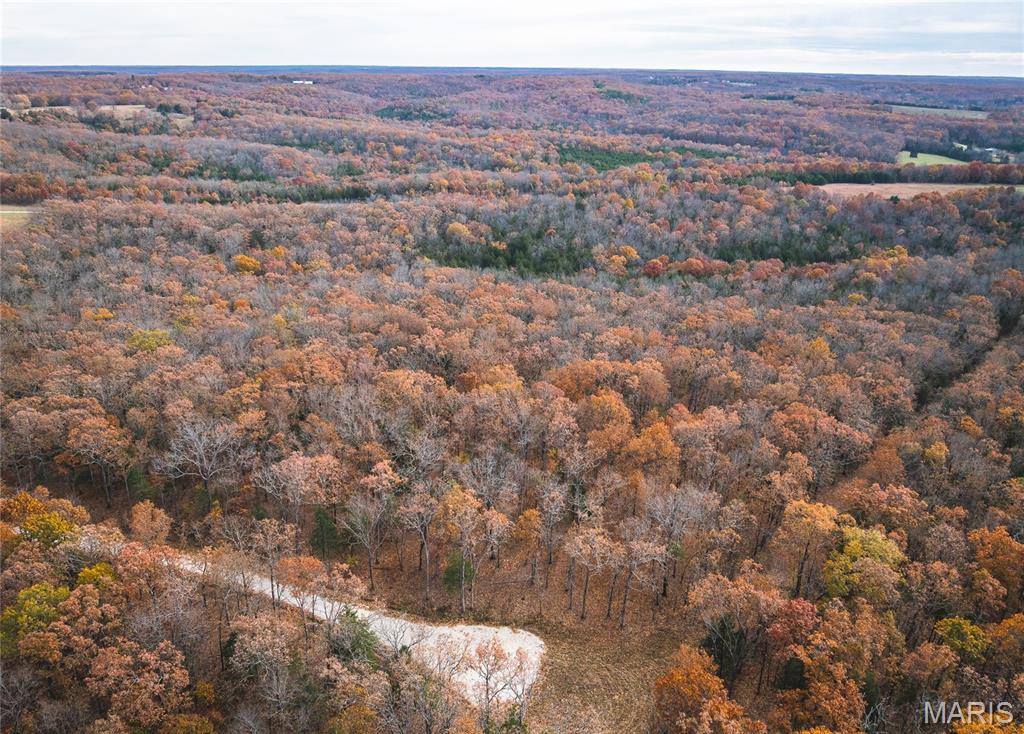 Whispering Oaks - Land