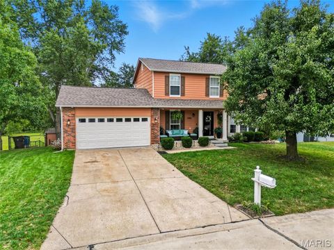 568 Prairie Home Drive St Peters MO 63376
