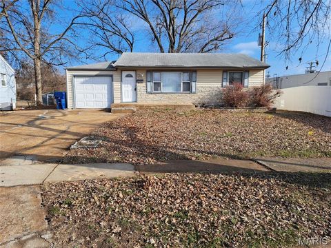 Photo of 615 Florland Drive, Florissant, MO 63031 (MLS # 25082376)