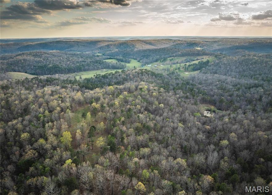 Whispering winds drift through scattered pines atop a ridge, offering gorgeous views of both the morning sunrise and an amazing sunset. This private and secluded property captures the pure beauty of the Ozark Mountains. A healthy stand of timber covers the rolling hills, complemented by a pond that draws in wildlife and creates an ideal ambush spot for a variety of game. A scenic ridgetop field provides the perfect location for a future cabin or an off-grid deer camp. An additional approximately 5-acre field sits high on the ridge—ideal for a shooting range, picnic area, or food plot. Well-maintained trails run throughout the property, making it easy to explore. Wildlife is plentiful, including deer, turkey, bobcat, coyotes, squirrels, and more. The property has been surveyed, with corners marked and some boundary lines identified. The ridgeline naturally splits the property in half, creating an excellent pinch point and travel corridor for game. Located just minutes from the Current River, known for some of Missouri’s premier fishing opportunities, this property is also conveniently situated about 30 minutes from Salem and Eminence. Property is priced at $2,071 per acre.