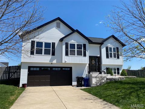 Photo of 42 Woodwind Court, Wentzville, MO 63385 (MLS # 25067856)
