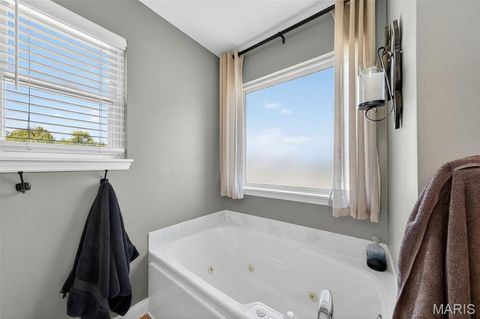 Tiny photo for 42 Woodwind Court, Wentzville, MO 63385 (MLS # 25067856)