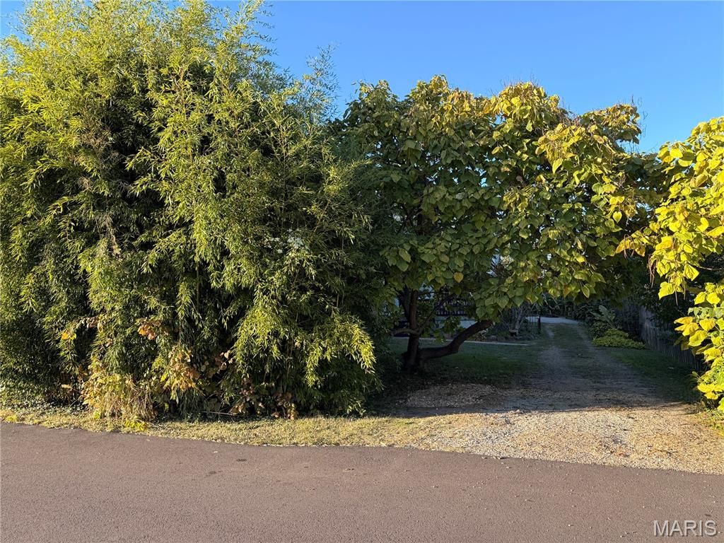 Photo of 125 Oak Street, Farmington, MO 63640 (MLS # 25072849)