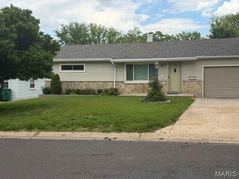 Photo of 422 Barron Lane, Webster Groves, MO 63119 (MLS # 26028823)