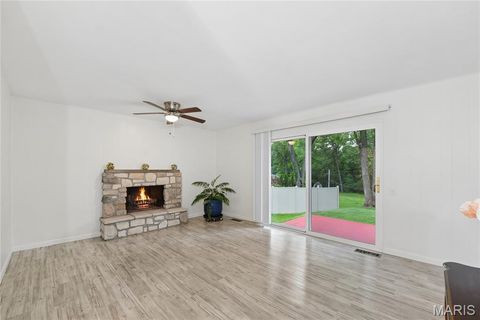 Tiny photo for 13028 Ambois Drive, Creve Coeur, MO 63141 (MLS # 26025773)