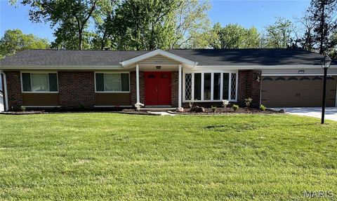 Photo of 13028 Ambois Drive, Creve Coeur, MO 63141 (MLS # 26025773)