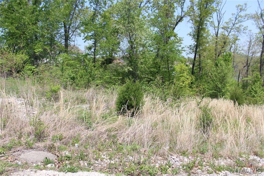 Building lot ready for your new home! This sale also includes the "GREENSPACE "B" ROCKY POINT PLAT NO 4" tract.  Close to Fort Leonard Wood and amenities. Some utilities available. Perfect setting in a desirable area. Additional Rooms: In Platted Subdv.