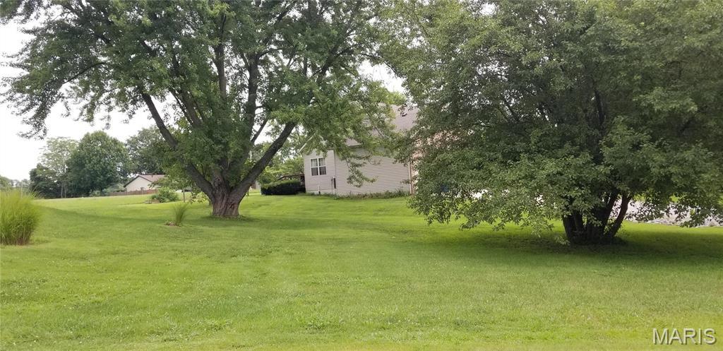 View of grassy yard