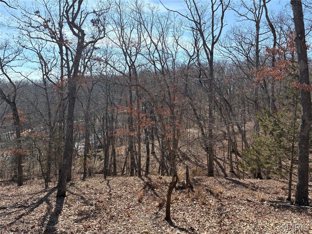 Pinnacle Lake Estates - Land