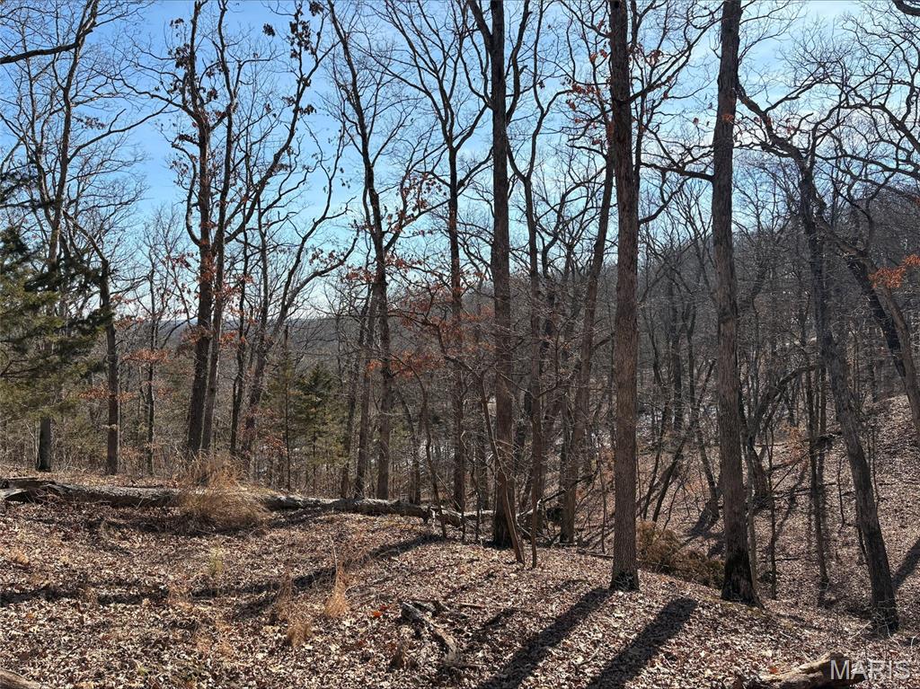 Pinnacle Lake Estates - Land