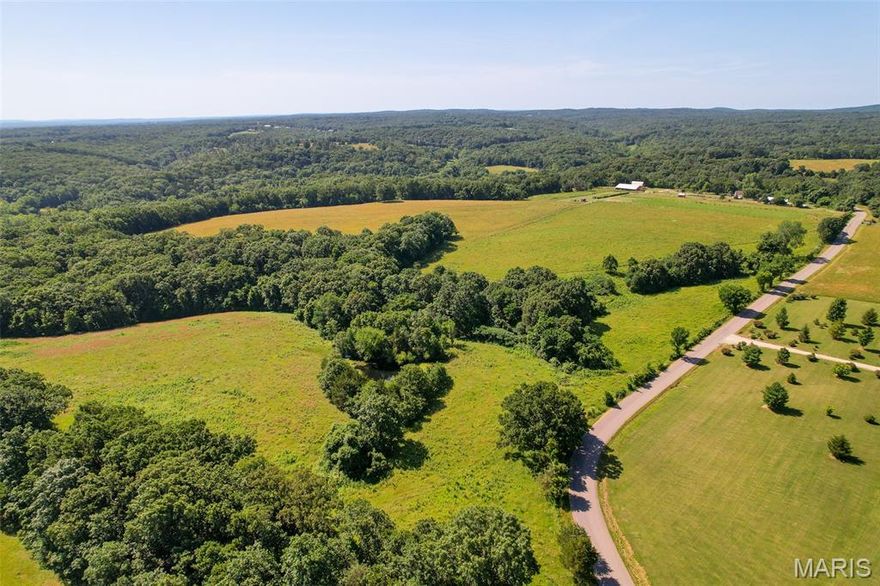 **Offered via live AUCTION to be held at Knight of Columbus on 7/25/25 at 11:00am or visit https://www.reauctionservices.com to bid online**

180+/- acres located in Festus, MO of Northern Ste. Genevieve Co. will be offered at Auction in 4 separate tracts, combinations, or as whole. See the full terms and conditions for more information.
Tract 1: Consists of 12+/- acres with road frontage, a pond, mature timber, and a perfect building location in the center of a 6+/- acre field. 
Tract 2: Consists of 46+/- acres with a home, multiple barns, outbuildings, is fenced and cross-fenced, equipped with a dozen water hydrants, multiple stock tanks, 20+/- acres of quality grass pasture, a riding arena, vegetable garden, fruit trees, grape vineyards, and more.
Tract 3: Consists of 85+/- acres with road frontage, electric access, two ponds, Dry Fork Creek frontage, diverse wildlife habitat, mature timber, acres of field, and endless building locations with amazing views.
Tract 4: Consists of 37+/- acres with road frontage, a pond, mature timber; including multiple large walnut trees, diverse wildlife habitat, Dry Fork Creek frontage, 8+/- acres of field for grazing, food plots, or home site.

**Open House to be held on Sunday 7/13/25 from 8am-2pm.**