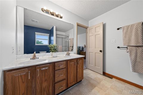 Tiny photo for 2917 Spring Blossom Drive, OFallon, MO 63368 (MLS # 26047381)