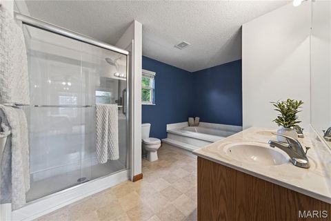Tiny photo for 2917 Spring Blossom Drive, OFallon, MO 63368 (MLS # 26047381)