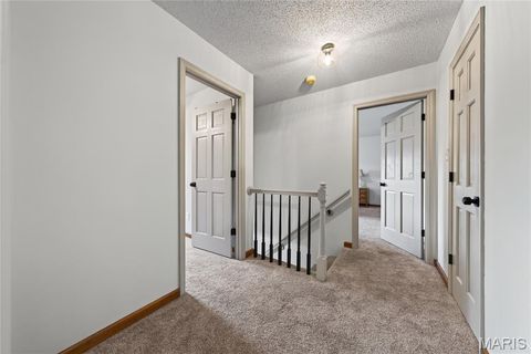 Tiny photo for 2917 Spring Blossom Drive, OFallon, MO 63368 (MLS # 26047381)