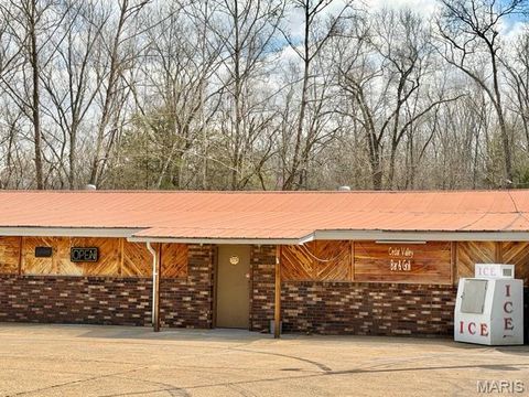 Tiny photo for 1859 madison 504, Fredericktown, MO 63645 (MLS # 26018813)