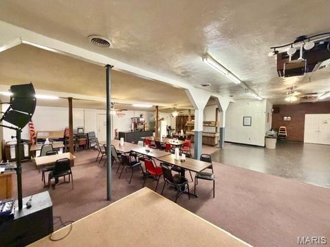 Tiny photo for 1859 madison 504, Fredericktown, MO 63645 (MLS # 26018813)